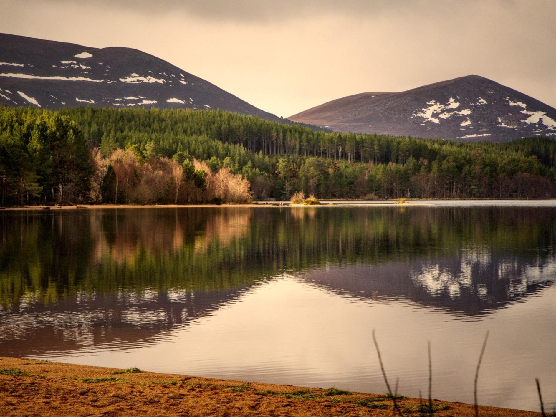 Checkers Cottage - Beaufort Estate Belladrum Luaran gambar